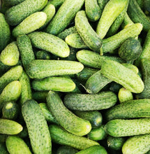 Load image into Gallery viewer, Cucumbers